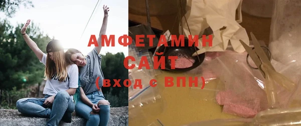 сатива Беломорск