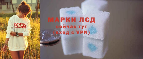 сатива Беломорск