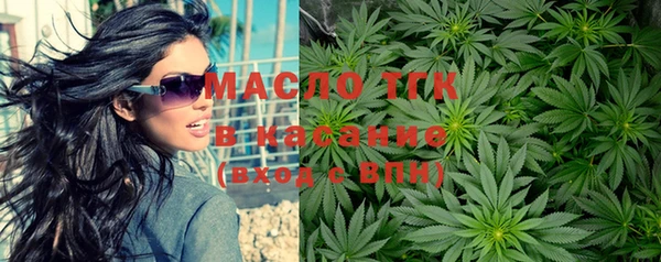 индика Богородицк