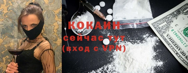 сатива Беломорск