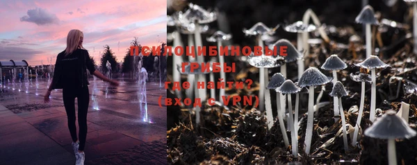 индика Богородицк