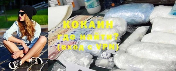 сатива Беломорск