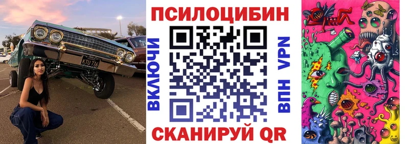 MEGA ссылка  Высоковск  Псилоцибиновые грибы GOLDEN TEACHER 